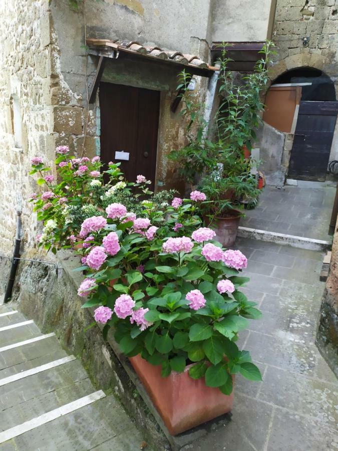 Appartement Mozzafiato Pitigliano Extérieur photo